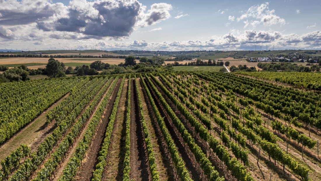 L&ouml;rzweiler K&ouml;nigstuhl