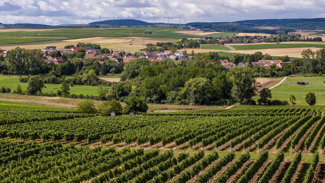 Badenheimer Galgenberg