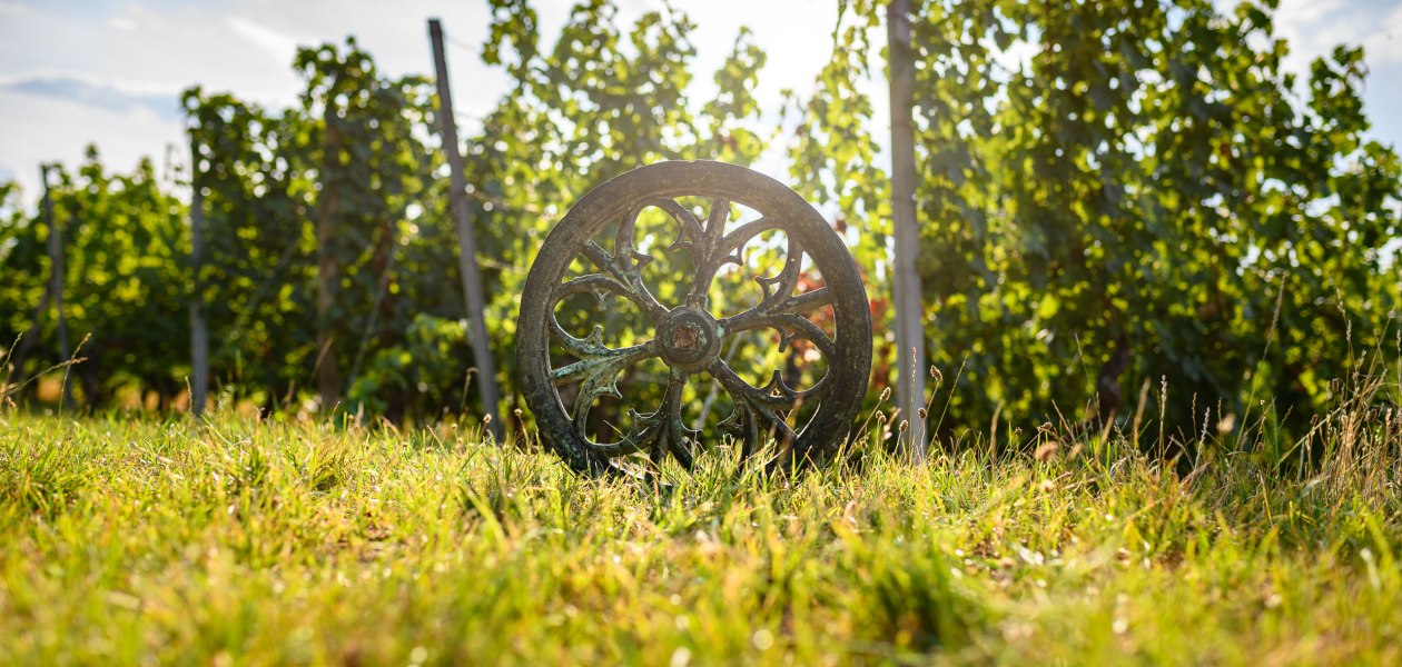 Weingut K&ouml;ster-Wolf_Weinberg, &copy; Weingut K&ouml;ster-Wolf