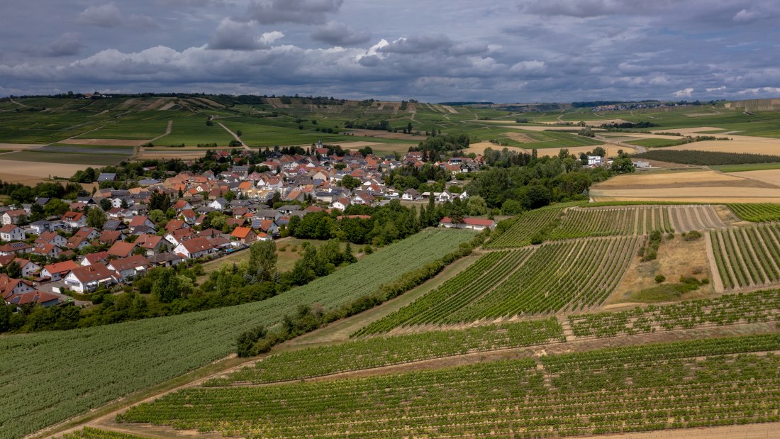 Gau-Weinheimer Geyersberg