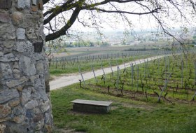 Rastbank am Juliusturm &copy; Michael Jung / Touristikverein Wonnegau e.V.
