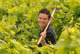 Weingut Norbert Michel_Winzer &copy; Weingut Norbert Michel