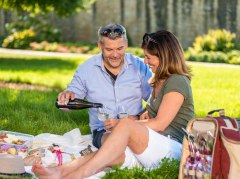 Picknick &copy; Rheinhessen Touristik GmbH / Dominik Ketz