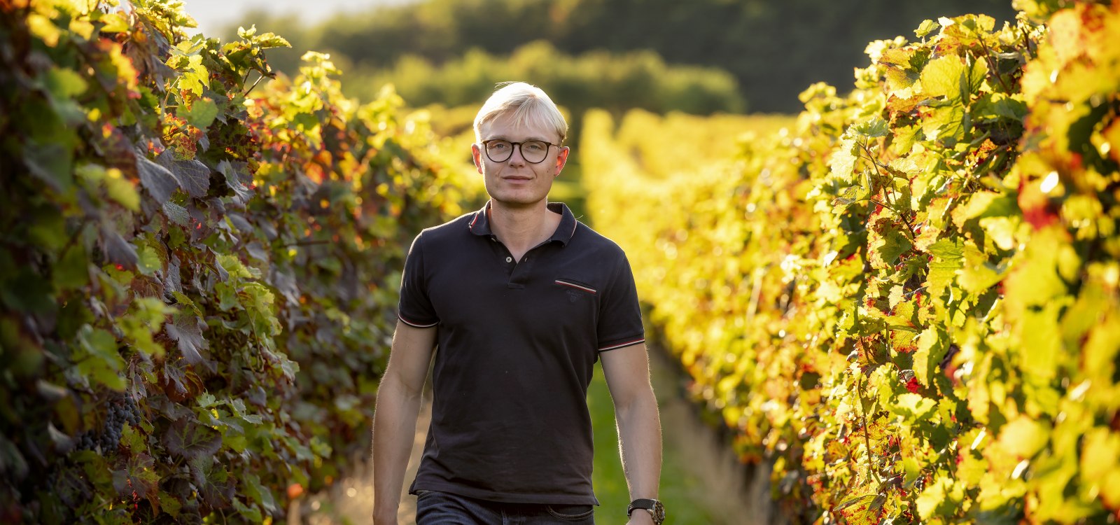 J. Trautwein feine Weine_Winzer Herbst, &copy; Fotografie Torsten Silz