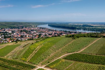 Niersteiner Parterberg-DJI_0222-178, &copy; Torsten Silz