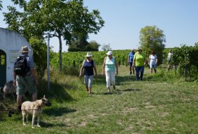 Bei der Wanderung © Michael Jung