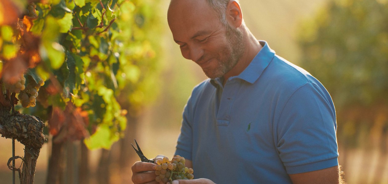 Weingut Dr. Koehler_Christian Drei&szlig;igacker, &copy; Weingut Dr. Koehler