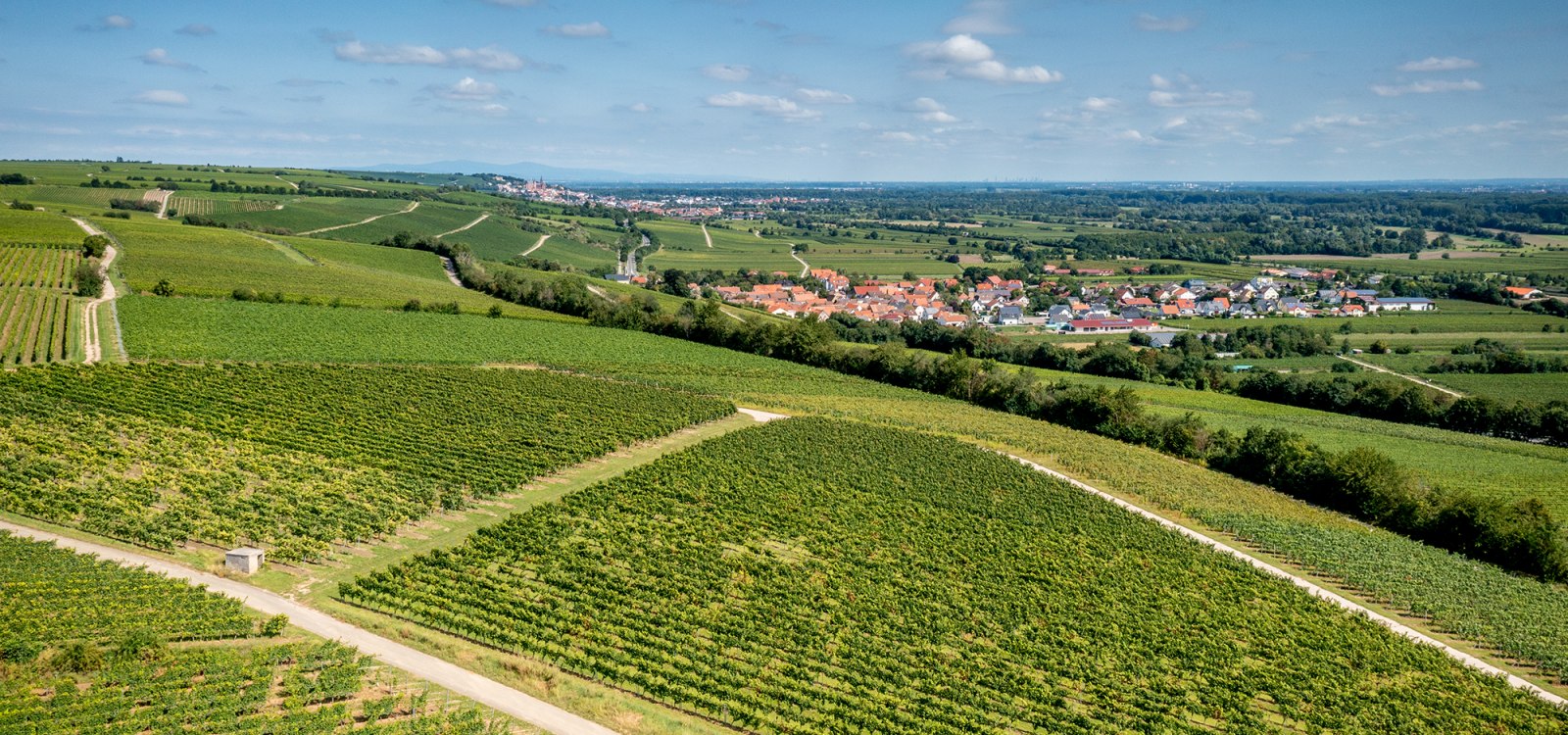 Ludwigsh&ouml;her Teufelskopf