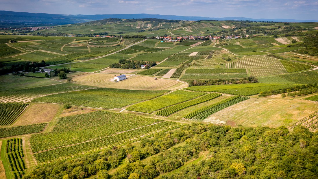 Horrweiler Gewürzgärtchen