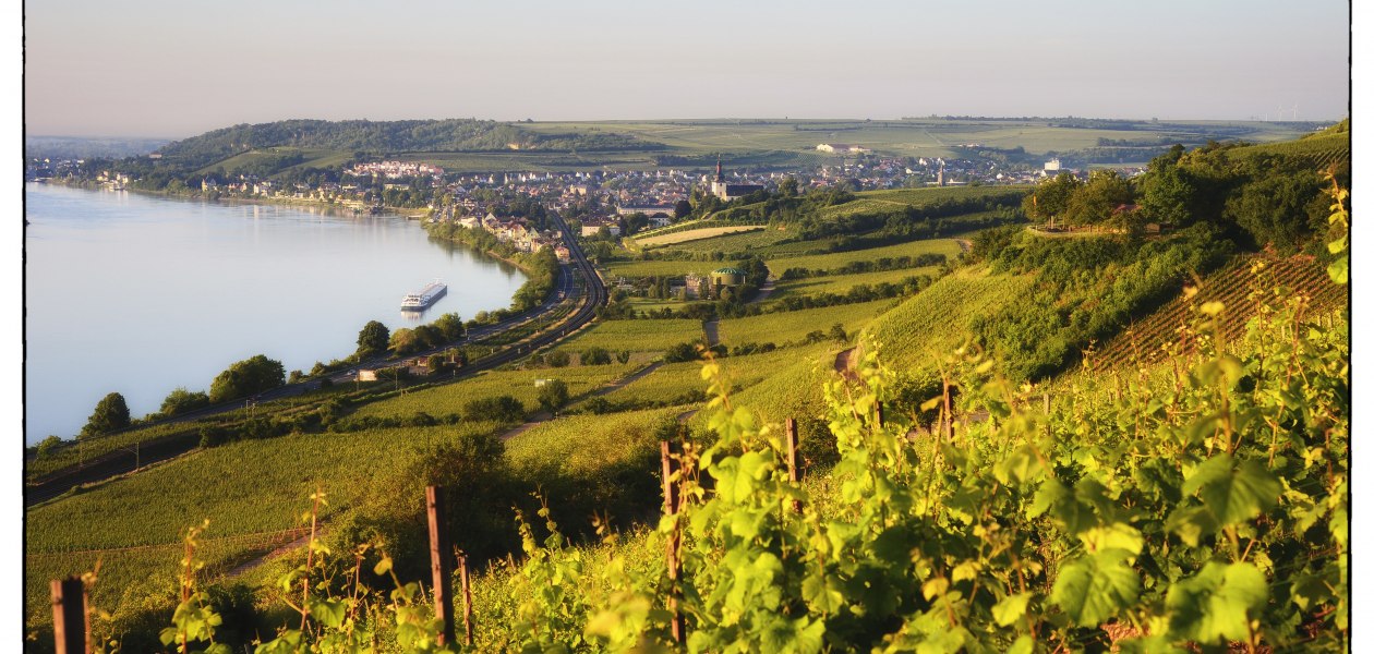 Weingut Wedekind_Panorama Hipping, &copy; Weingut Wedekind