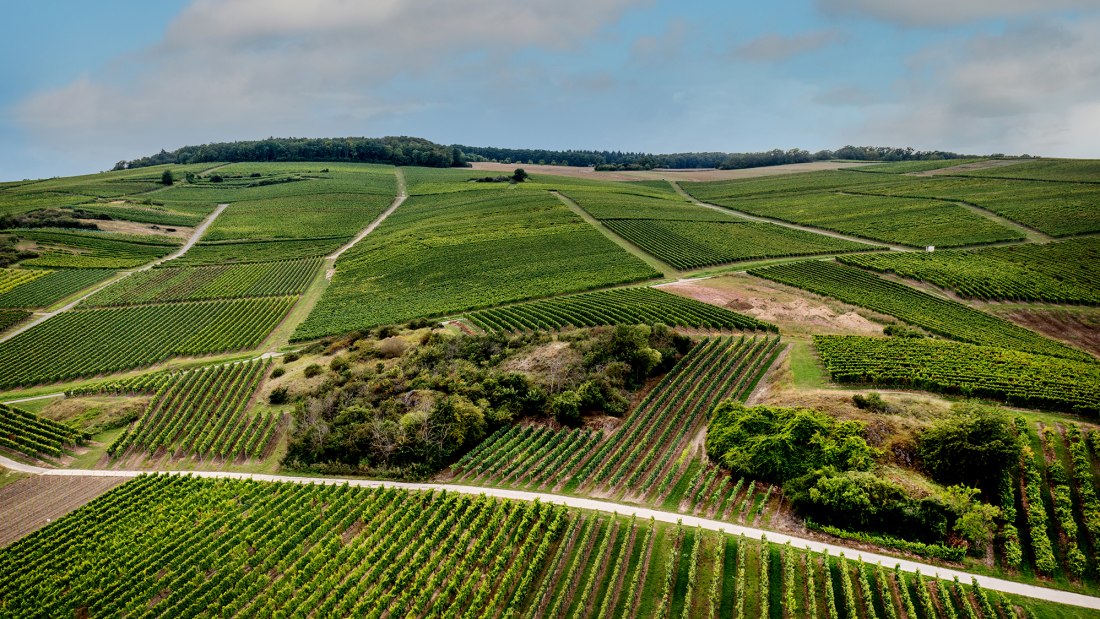 Frei-Laubersheimer Fels
