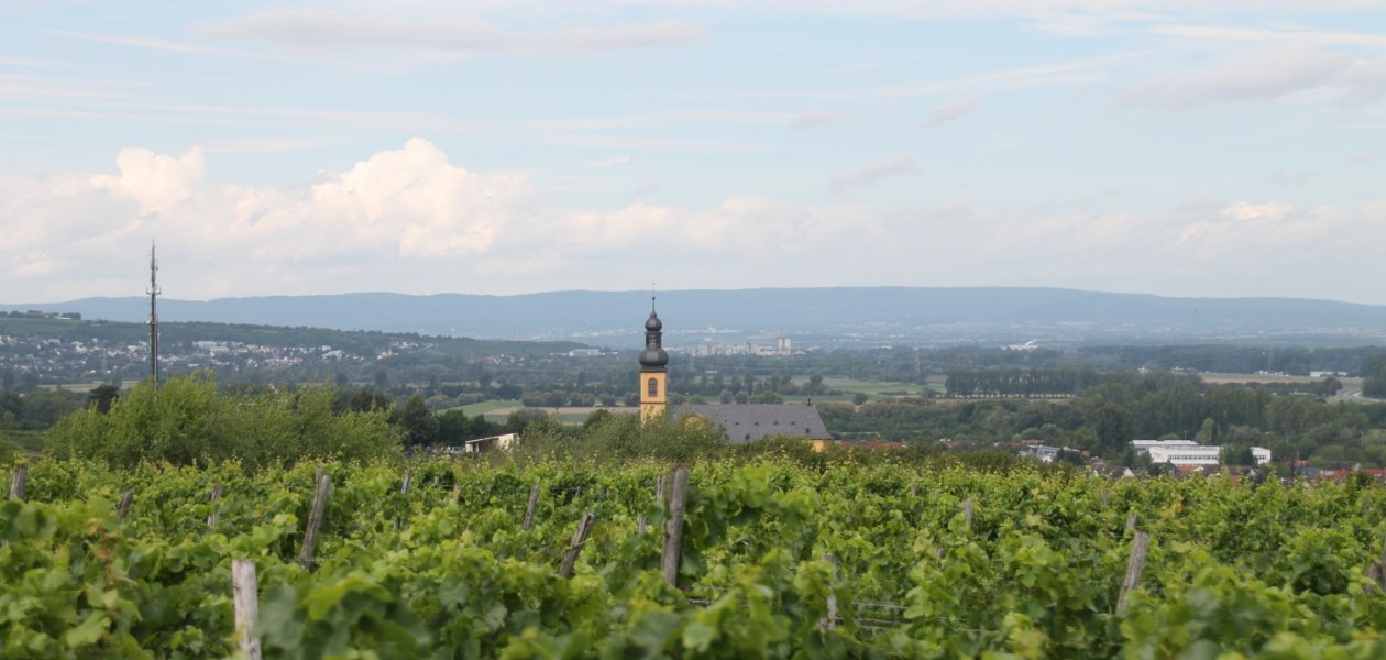 Alt.regional, &copy; Weingut Sans-Lorch