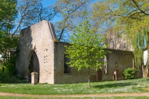Ruine der Liebfrauenkirche, Westhofen, &copy; Ulrich van Wasen