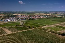 M&ouml;rstadter Nonnengarten