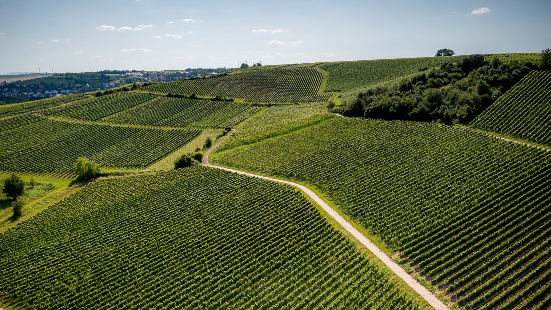 Gau-Bischofsheimer Glockenberg