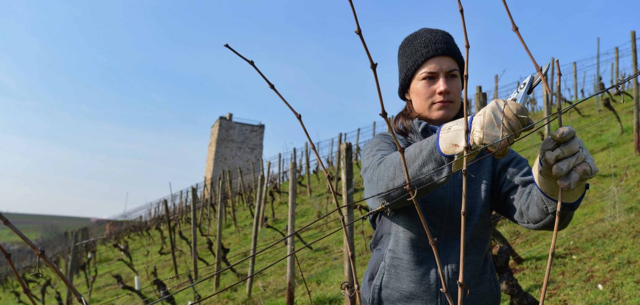 Weingut Fritz Ekkehard Huff_Winzerin, &copy; Weingut Fritz Ekkehard Huff