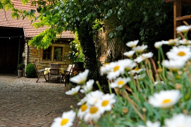 Weingut Dechent_Hof Sitzplatz, &copy; Weingut Dechent