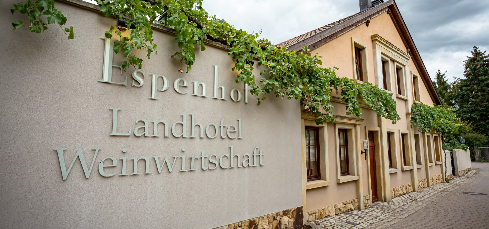 rheinhessen_geniessen_2019_0584, &copy; Bernward Bertram