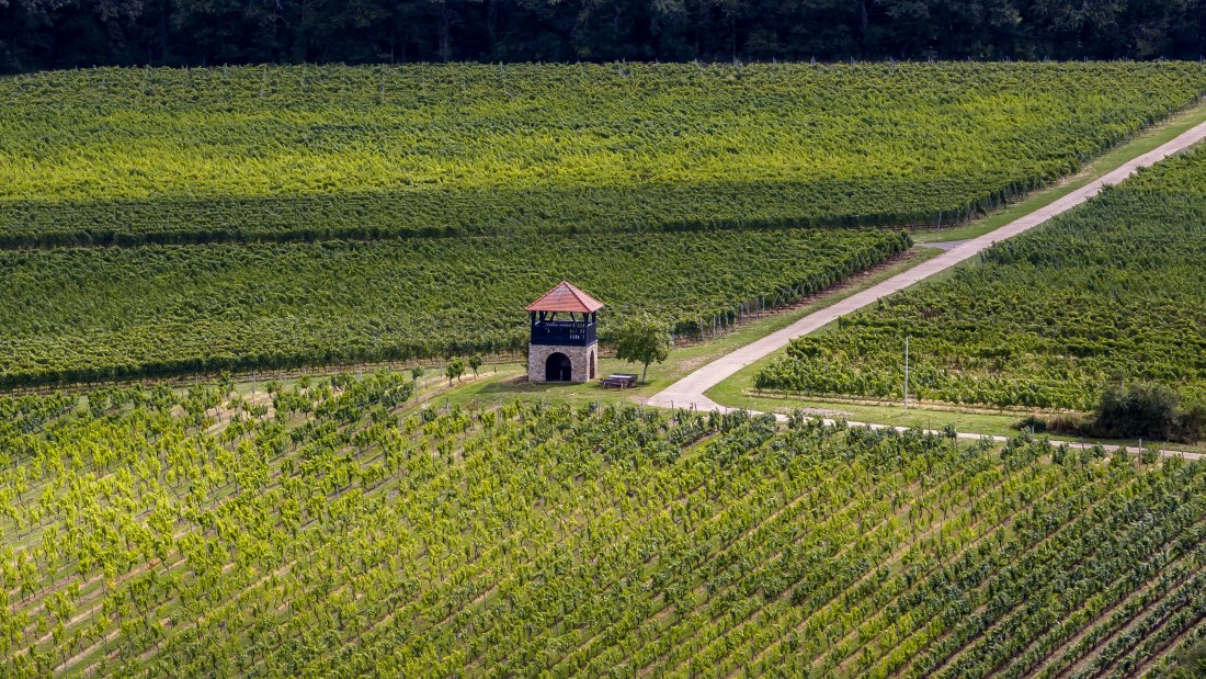 Bornheimer H&auml;hnchen